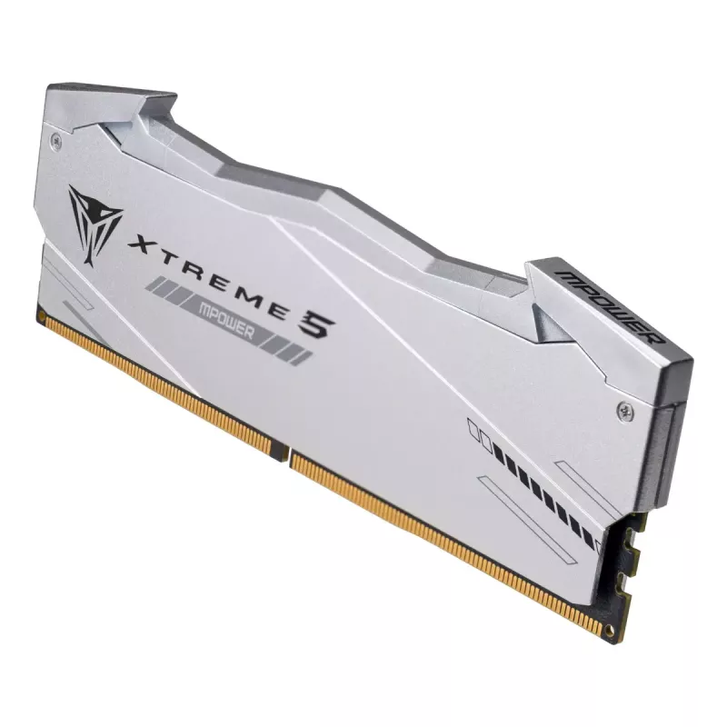 Patriot Viper Gaming RGB XTREME 5 DDR5-6000 RAM, CL 30, Intel XMP 3.0 - 48GB Dual-Kit, prateado