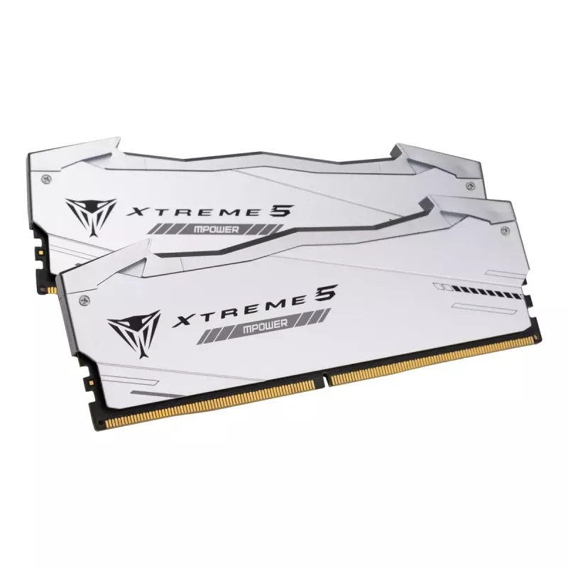 Patriot Viper Gaming RGB XTREME 5 DDR5-6000 RAM, CL 30, Intel XMP 3.0 - 48GB Dual-Kit, prateado