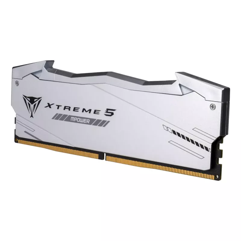 Patriot Viper Gaming RGB XTREME 5 DDR5-6000 RAM, CL 30, Intel XMP 3.0 - 48GB Dual-Kit, prateado