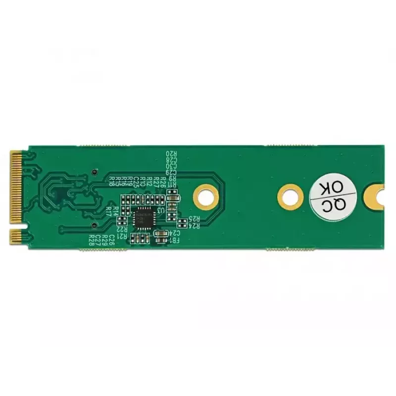 Placa de interface DeLOCK 64040