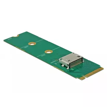 Placa de interface DeLOCK 64040