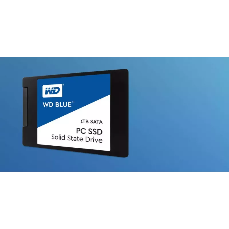WD Blue SSD 250 GB SATA III M.2 2280, WDS250G1B0B