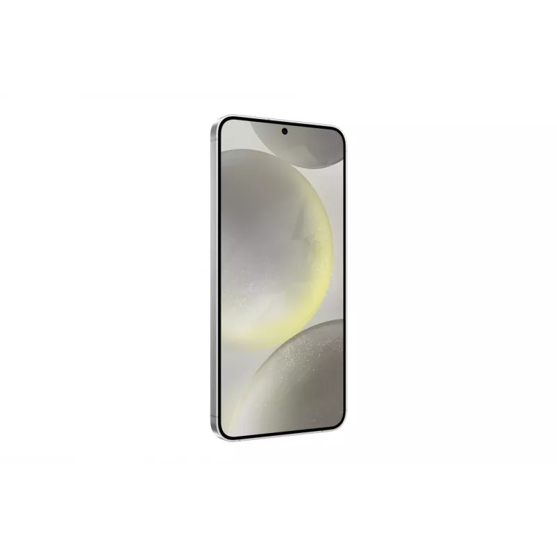 Samsung Galaxy S24+ 17 cm (6,7