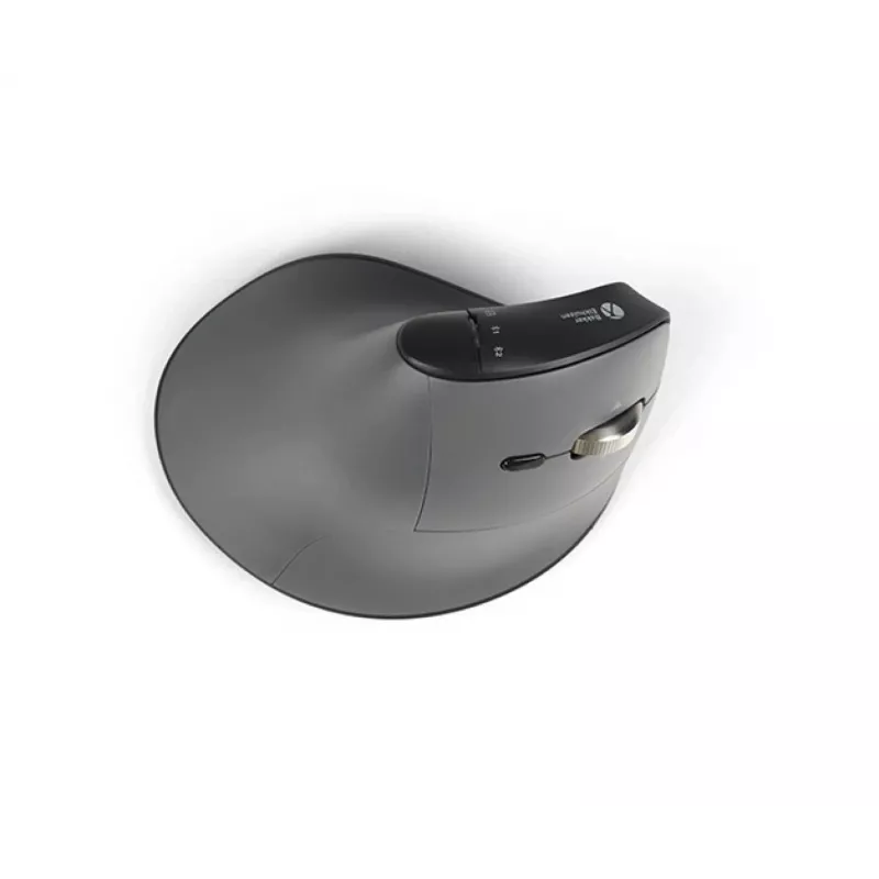 Rato BakkerElkhuizen FastForward Pro, destro, design vertical, ótico, RF Wireless + Bluetooth + USB Type-C, 5000 DPI, preto, cinzento