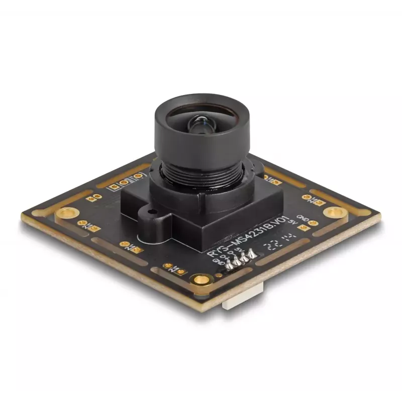 Webcam DeLOCK 12064 2,1 MP 1920 x 1080 USB 2.0 preta