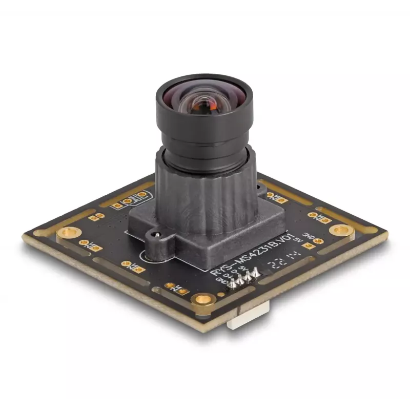 Webcam DeLOCK 12069 2,1 MP 1920 x 1080 pixels USB 2.0 preta