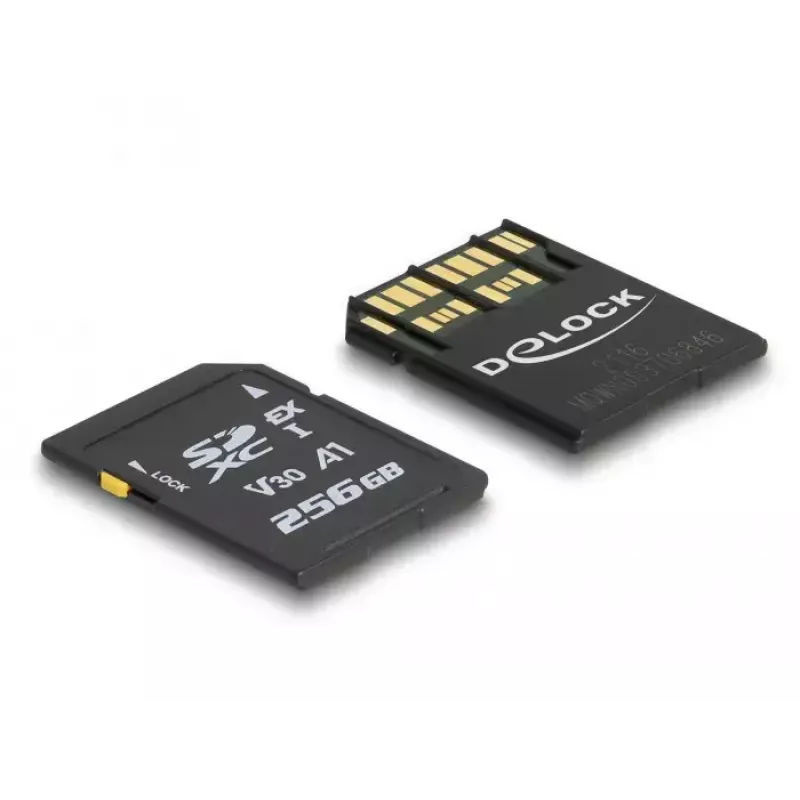 Cartão de memória DeLOCK 256 GB SD UHS-I 54091