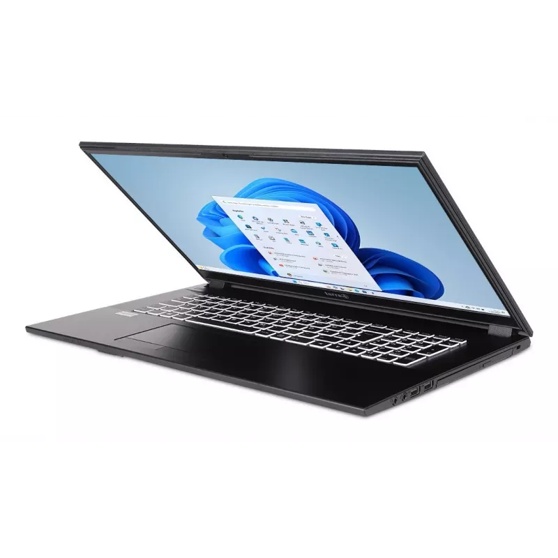 TERRA 1220855 portátil Intel® Core™ i5 i5-1334U 43,9 cm (17,3 polegadas) Full HD 16 GB DDR4-SDRAM 500 GB SSD Wi-Fi 6 (802.11ax) Windows 11 Home alemão cinzento