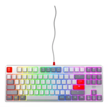 CHERRY XTRFY K4V2 TKL (80%) teclado Retro, com fio, RGB, disposição QWERTY US