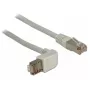 Cabo de rede DeLOCK 1m RJ-45 Cat6a cinzento