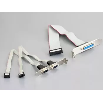 Placa de interface DeLOCK 95232