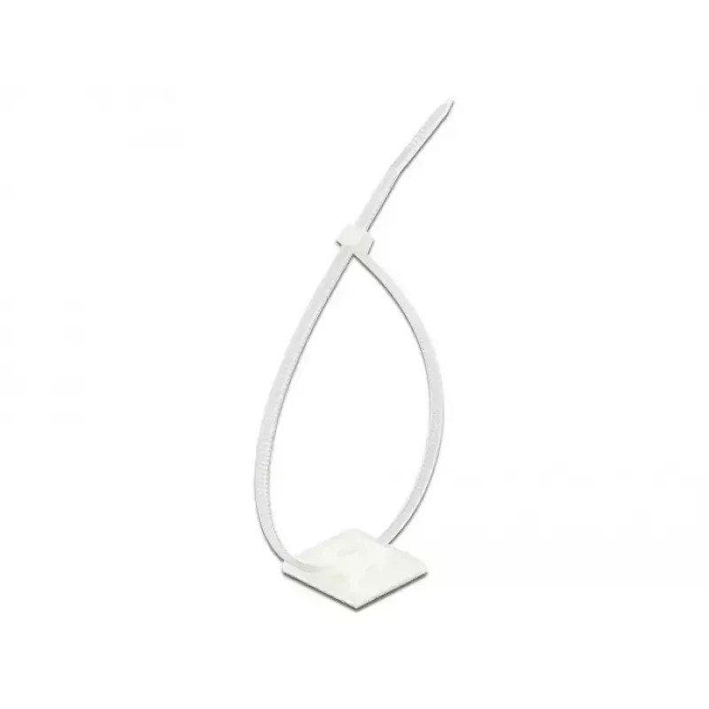 Montagem para abraçadeiras DeLOCK 18834 branco nylon 10 unidades