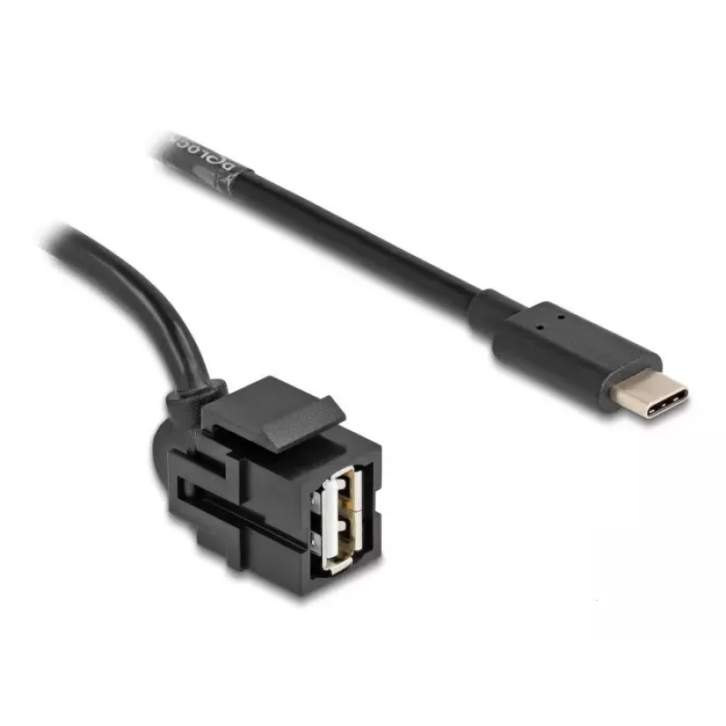 Módulo Keystone DeLOCK USB 2.0 A conector fêmea para ficha USB Type-C 250° 1,5 m