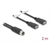 Cabo sensor/atuador DeLOCK 2 m M12 2 x USB Type-A preto 60291