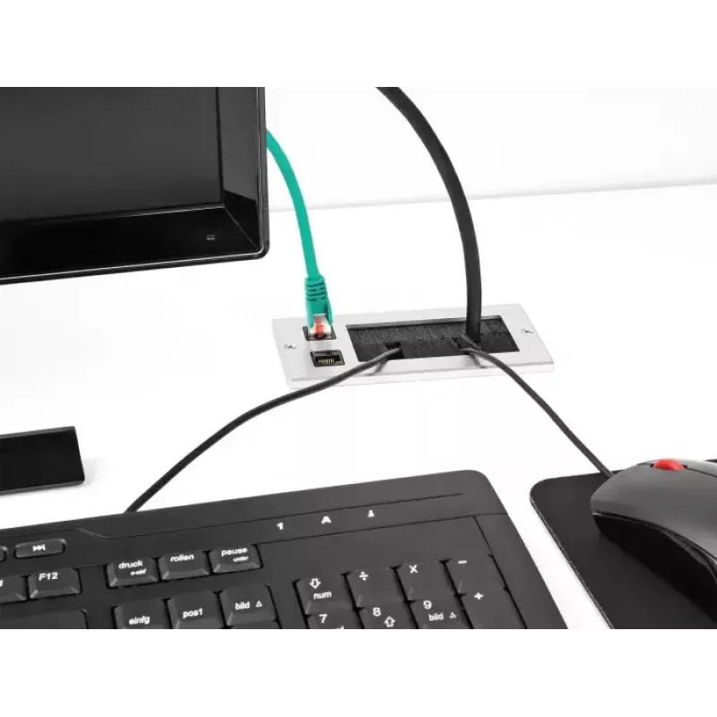 Passagem de cabos DeLOCK com escova e 2 x módulo Keystone RJ45 Cat.6 alumínio