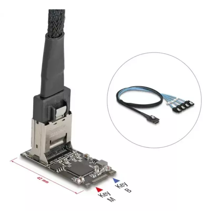 Placa adaptadora DELOCK interna M.2 para Mini-SAS 64260, host M.2, saída Mini-SAS, JMicron JMB585, preto, LED