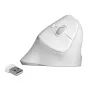 Rato DeLOCK 12596 Office destro RF Wireless 1600 DPI