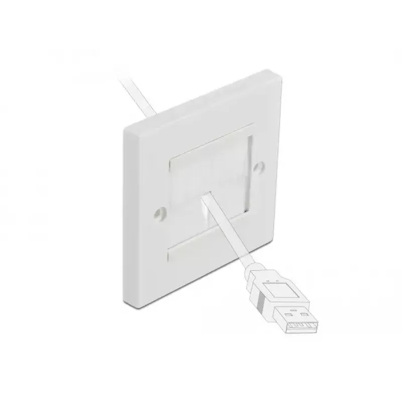Placa de parede DeLOCK 66495 branco