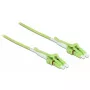 Fibra ótica DELOCK 85689 2 m LC verde