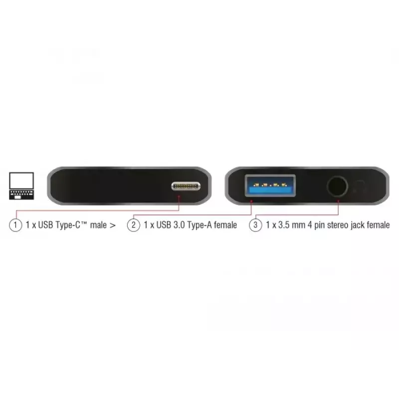 Dock para portátil DeLOCK 63965 antracite