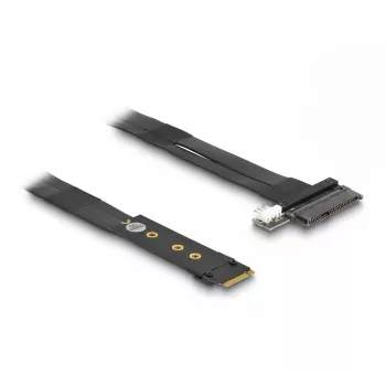 Adaptador DeLOCK M.2 Key M para U.2 SFF-8639 NVMe com cabo de 20 cm