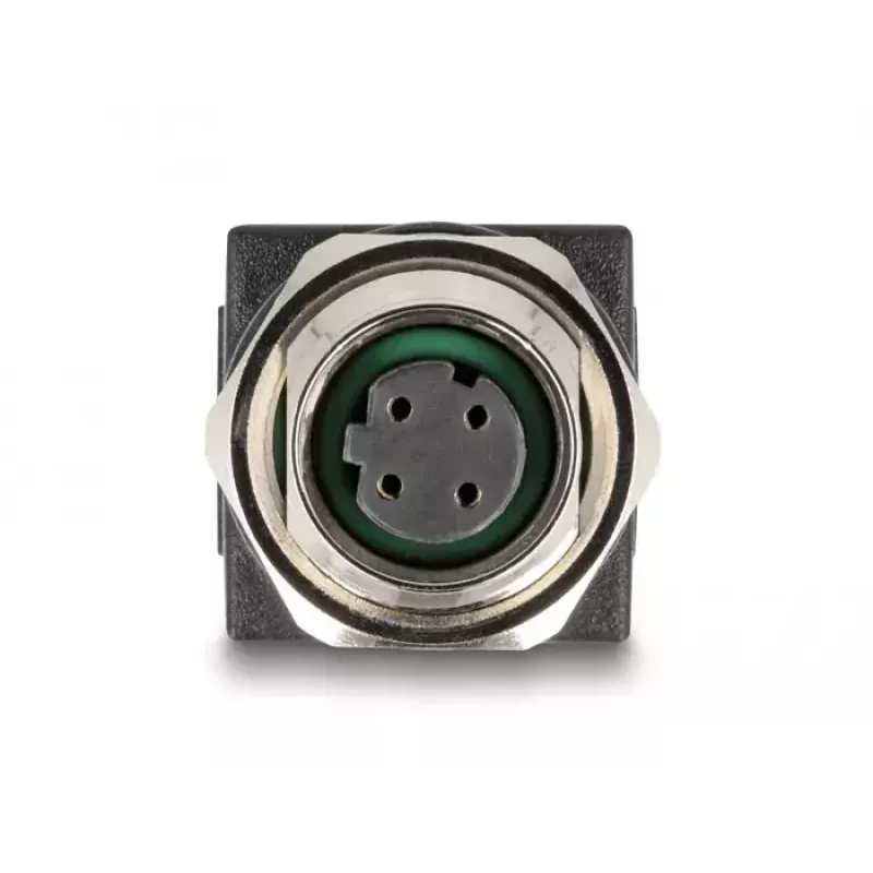 Adaptador DeLOCK M12 codificado D de 4 pinos fêmea para RJ45 fêmea reto