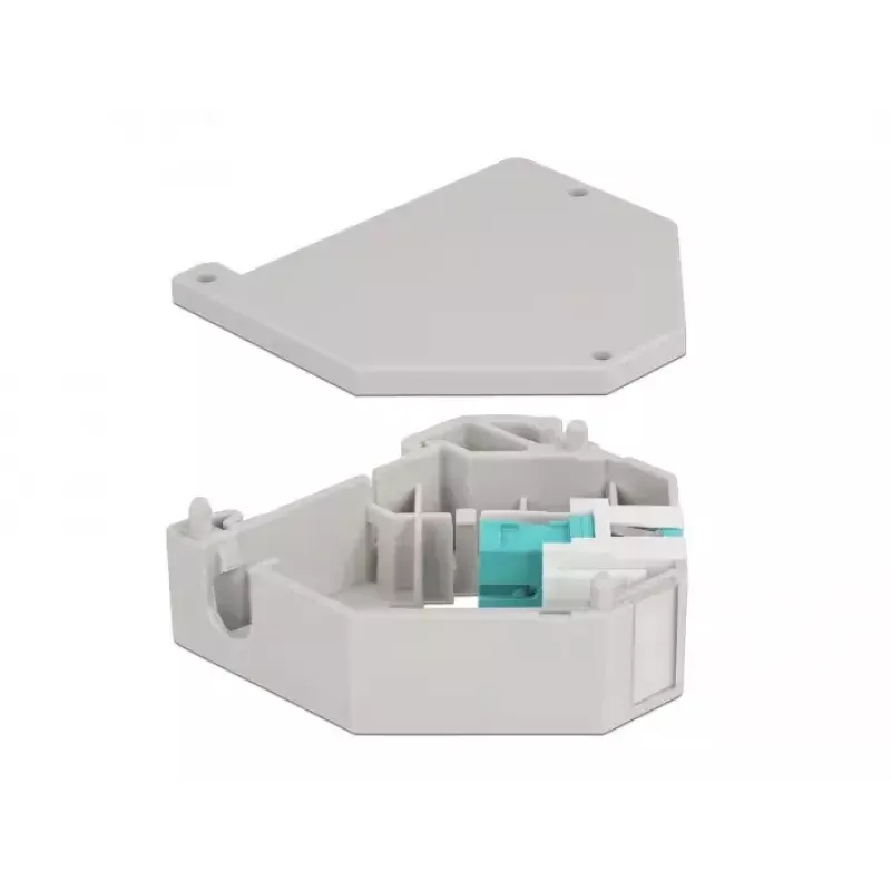 Delock 87173 Adaptador Keystone de SC Simplex para SC Simplex para calha DIN, água