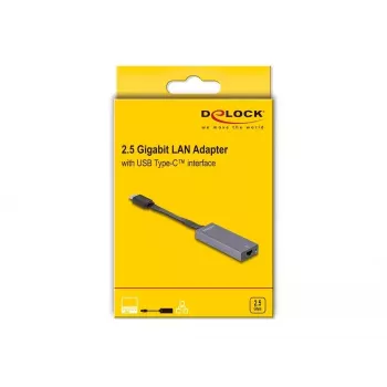Adaptador de cabo DeLOCK 66248 RJ-45 USB C cinzento 0,09m