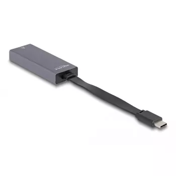 Adaptador de cabo DeLOCK 66248 RJ-45 USB C cinzento 0,09m