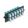 Painel adaptador de fibra ótica DeLOCK LC Duplex OM4 12 portas aqua
