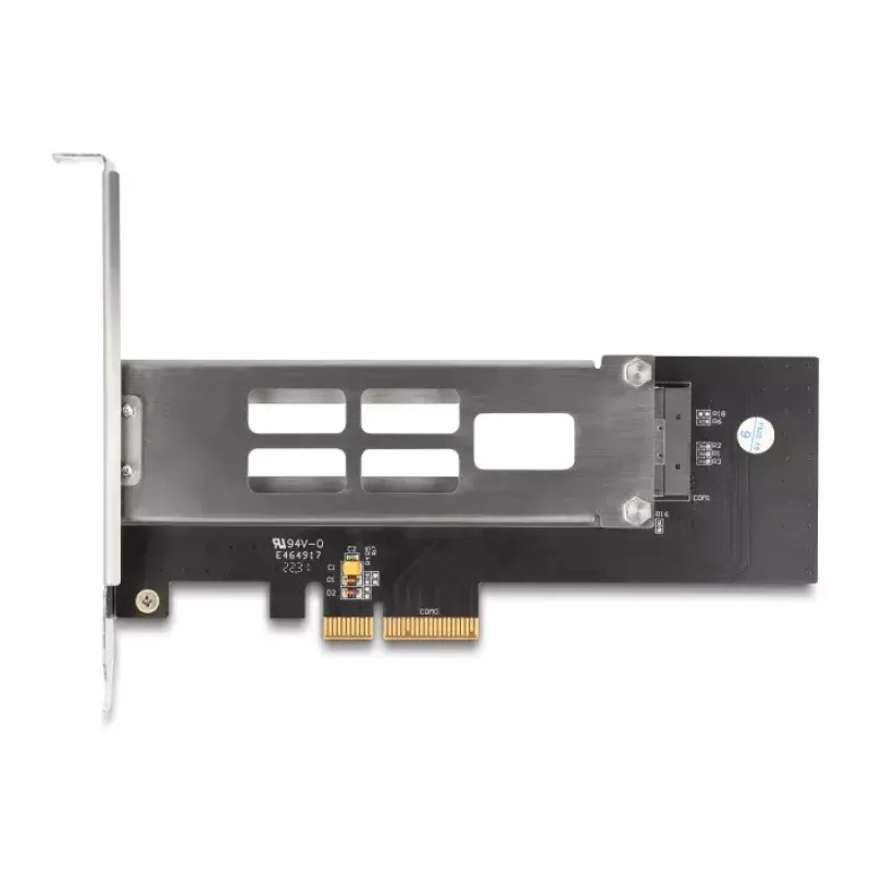 DeLOCK Mobile Rack PCI Express Card para 1 x M.2 NVMe SSD Low Profile