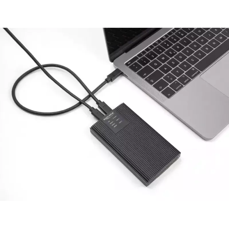 Caixa para SSD DeLOCK 42022 Caixa externa USB 20 Gbps para 2 x SSD M.2 NVMe PCIe