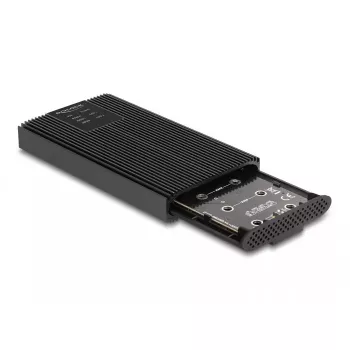 Caixa para SSD DeLOCK 42022 Caixa externa USB 20 Gbps para 2 x SSD M.2 NVMe PCIe