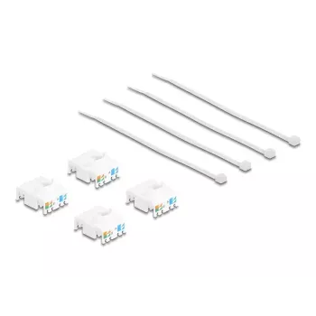 Módulo Keystone DeLOCK 86051 plano RJ-45 branco 4 unid.