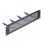 DeLOCK 67036 painel cego de 19" com orifícios redondos, 2U, preto