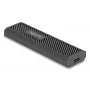Caixa para SSD DeLOCK 42031 preto M.2 PCIe SATA 20 Gbit/s