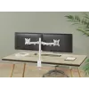 Equip Suporte de secretária ajustável para dois monitores 17