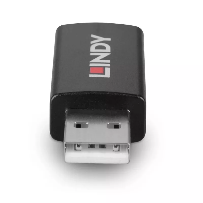 Lindy 71263 adaptador USB USB Type-A preto