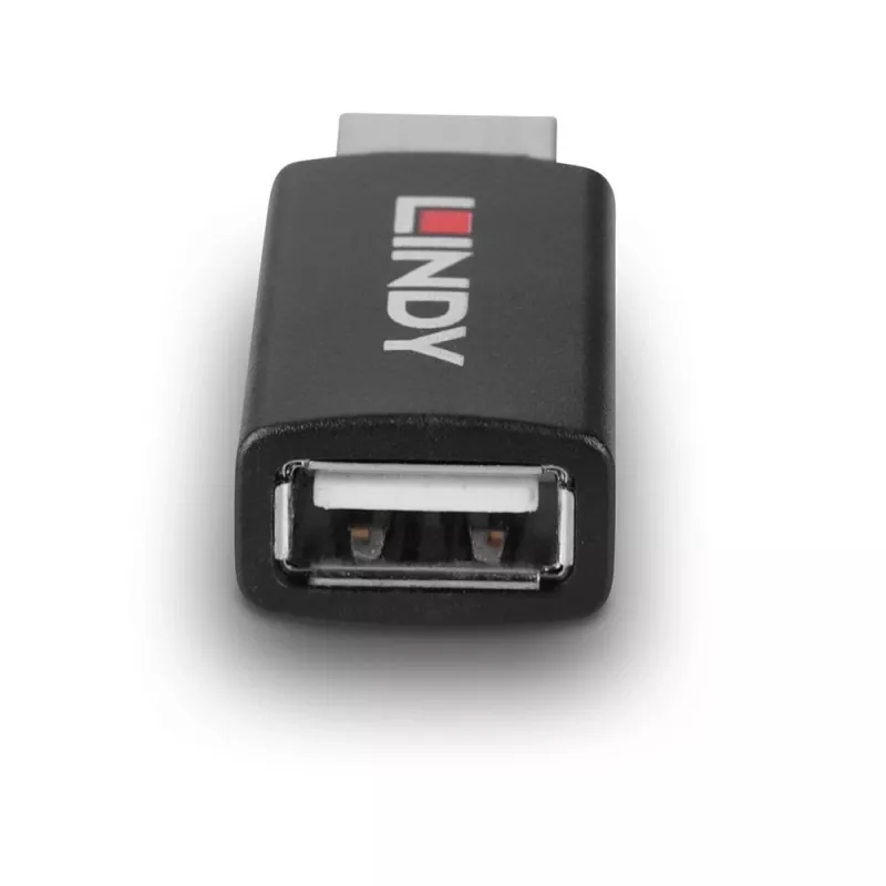 Lindy 71263 adaptador USB USB Type-A preto