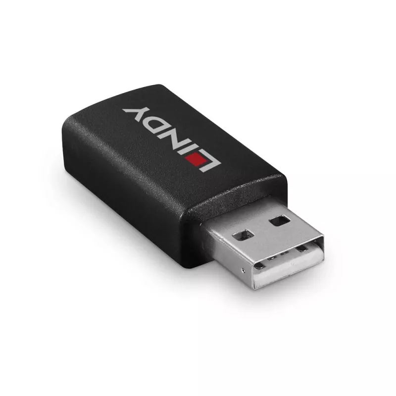 Lindy 71263 adaptador USB USB Type-A preto