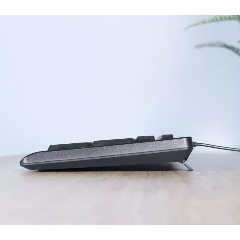 Trust TKM-250 Teclado rato incluído escritório USB QWERTZ alemão preto