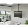 Suporte/base para TV Hama 00220878 165,1 cm (65 polegadas) Preto