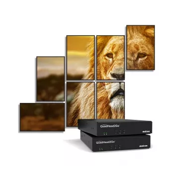 Matrox QuadHead2Go Q155 controlador multi-monitor / Q2G-H4K2