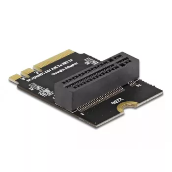 Adaptador M.2 Key A+E macho para slot Key M angular com suporte DeLOCK 64137