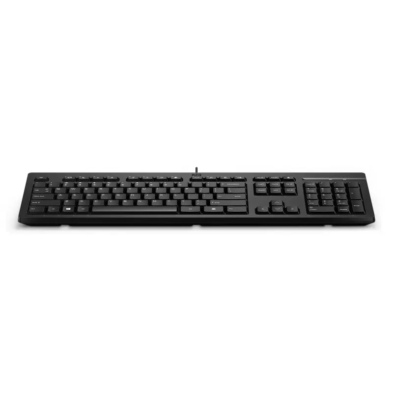 Teclado com fio HP 125 tamanho completo USB membrana QWERTY preto