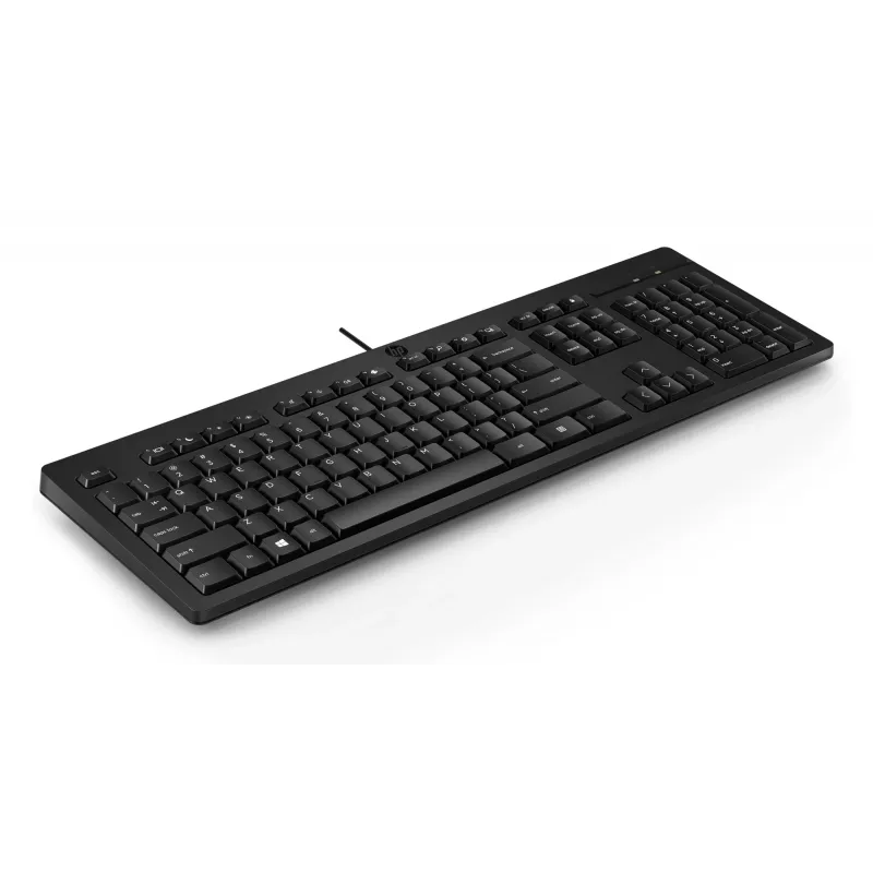 Teclado com fio HP 125 tamanho completo USB membrana QWERTY preto