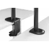 Suporte de secretária articulado para monitor Equip 17