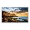 Monitor Samsung QE55T 55