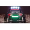 Monstertruck Amewi Daphoenodon motor elétrico 1:12