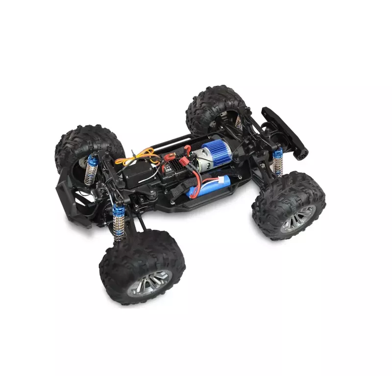 Monstertruck Amewi Daphoenodon motor elétrico 1:12